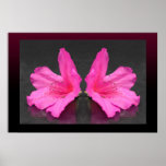 Azalea Mirrored Poster posters