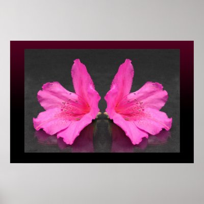 Azalea Mirrored Poster by natureworldart