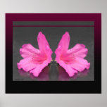 Azalea Mirrored Print