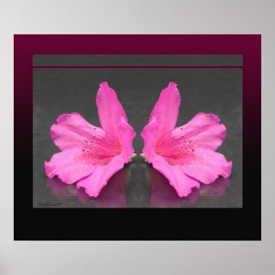 Azalea Mirrored Print by natureworldart