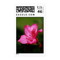 Azalea Postage
