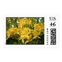 Azalea postage by kokobaby Azalea postage