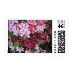 Azalea Postage Stamps Azalea Postage Stamps