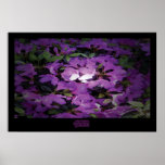 "Azalea" - Print