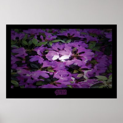 "Azalea" - Print by wearartware