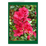 Azalea products greeting cards