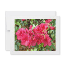 Azalea products custom announcements