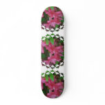 Azalea  Skateboard