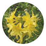 Azalea Sticker