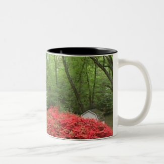 Azaleas and Dogwoods Mug mug