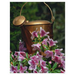 Azaleas and watering can flyers