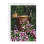 Azaleas and watering can custom announcements