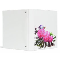 Azaleas