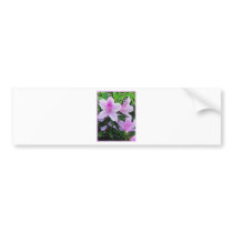 Azaleas bloom bumper stickers
