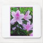 Azaleas bloom mouse pads
