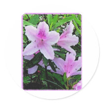 Azaleas bloom sticker