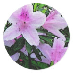 Azaleas bloom round sticker