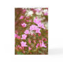 Azaleas blooming in springtime greeting cards