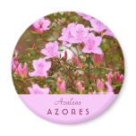Azaleas blooming in springtime refrigerator magnet