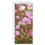 Azaleas blooming in springtime personalized rack card