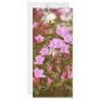 Azaleas blooming in springtime personalized rack card