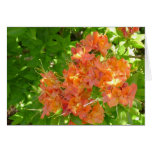 Azaleas Blooming in the Great Smoky Mountains Greeting Card