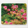 Azaleas blooming mousepad