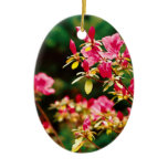 Azaleas blooming ornaments