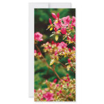 Azaleas blooming custom rack cards