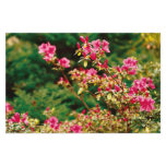 Azaleas blooming personalized stationery