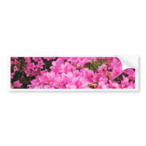 Azaleas Bumper Sticker