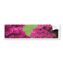 Azaleas bumper stickers by gavila_pt Azaleas bumper stickers