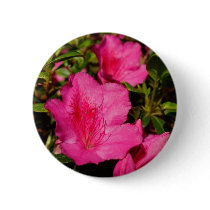 Azaleas Pinback Button