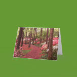 azaleas cards