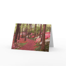 azaleas cards by ktyqueen azaleas cards