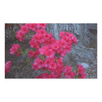 Azaleas CricketDiane Flower Art Products