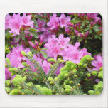 AZALEAS Flowers MOUSE PADS Pine Tree MOUSEPAD