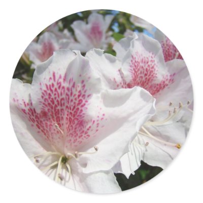 Azaleas Flowers stickers Envelope Seals Pink by Basleeartprintgifts