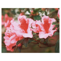 Azaleas Personalized Flyer