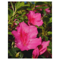 Azaleas flyers by gavila_pt Azaleas flyers