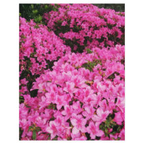 Azaleas Full Color Flyer