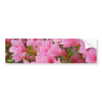 Azaleas in Bloom Bumper Stickers