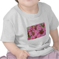 Azaleas in Bloom Tee Shirts