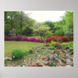 Azaleas in Oklahoma posters