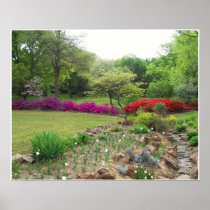 Azaleas in Oklahoma Posters