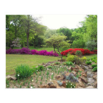 Azaleas in Oklahoma posters