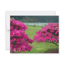 Azaleas invitations by gavila_pt Azaleas invitations