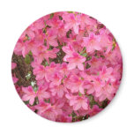 AZALEAS MAGNET Pink Azalea Flowers MAGNETS Gifts