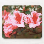Azaleas Mouse Pads