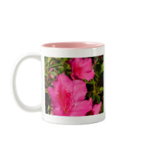 Azaleas Mug